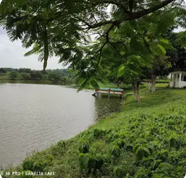 Shamshernagar Lake Sylhet