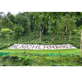 Malnicherra Tea Garden Sylhet