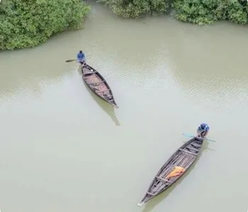 Ratargul Swamp Forest, Gowainghat