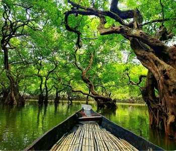 Ratargul Swamp Forest, Gowainghat