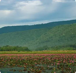 Shaplabil Waterfall Sylhet