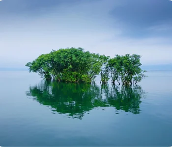 Tanguar Haor, Sunamganj