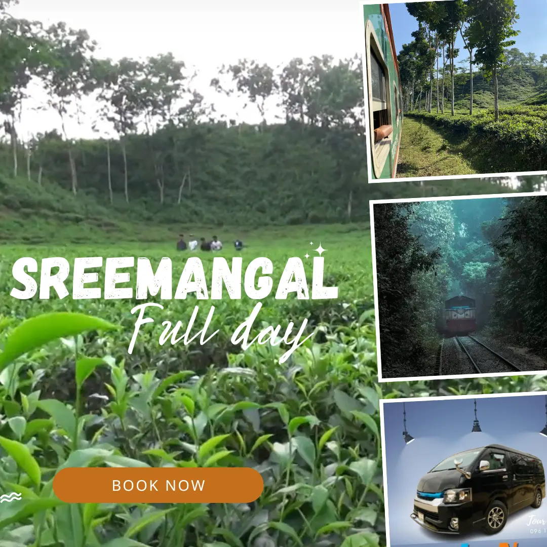 Sreemangal Package