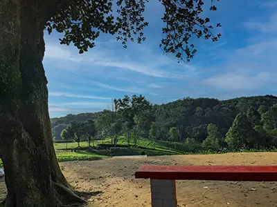 Sreemangal Day Tour